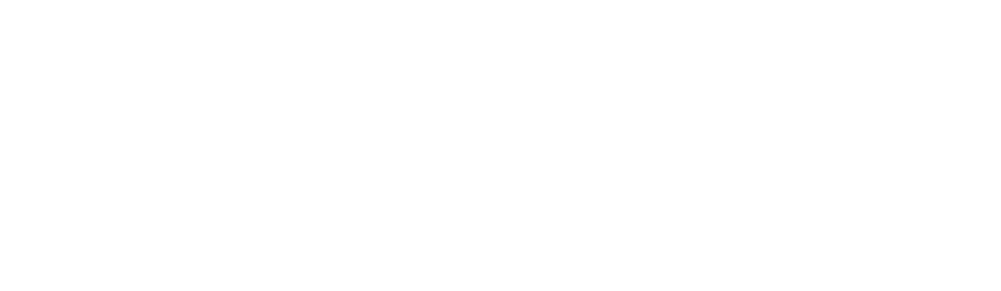w4a logo